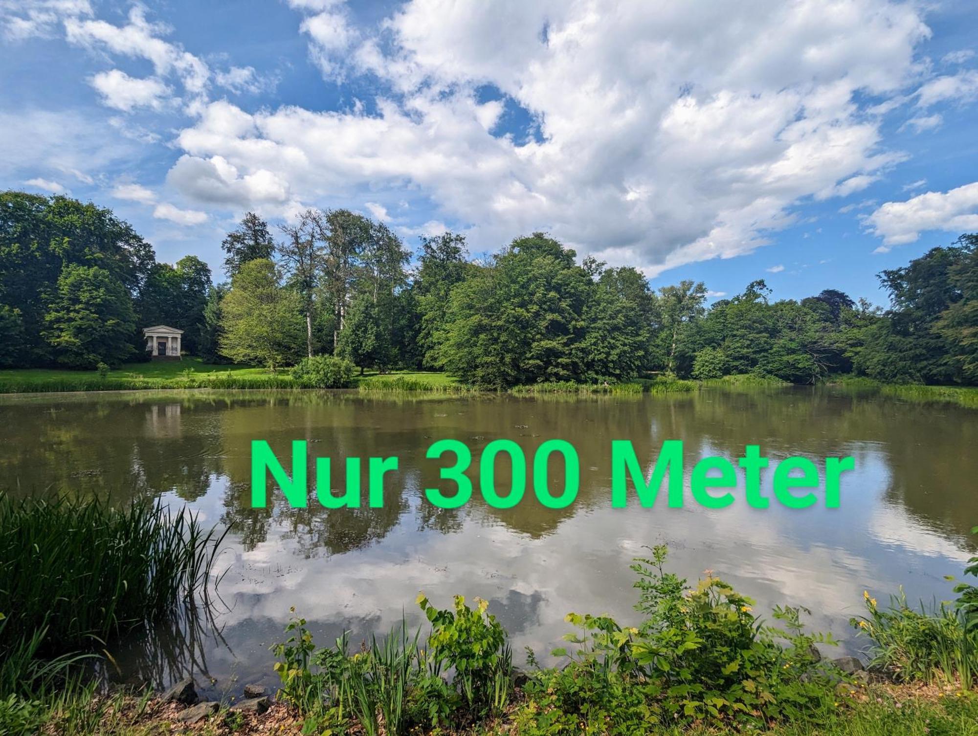 Fewo Urban Gotha - Apartment Orangerie - Am Schlosspark- Parken An Der Der Tuer- Barrierefrei, 900 Meter Zum Bahnhof - Wallbox Екстер'єр фото